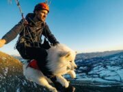 Ouka il cane volante ouka-il-cane-volante-instagram