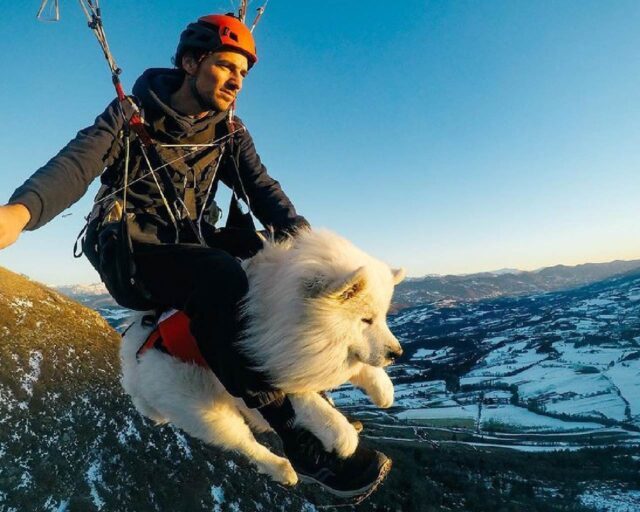 shams&ouka ouka-il-cane-volante-instagram