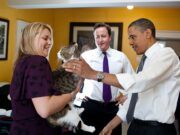 Larry il gatto di Downing Street larry-il-gatto-di-downing-street