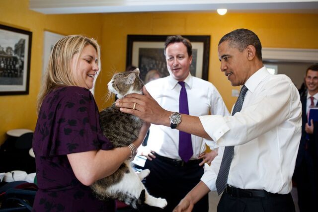 Larry_the_Cat_-_May_2011 larry-il-gatto-di-downing-street