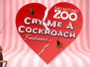 Cry Me a Cockroach: un San Valentino fuori dagli schemi Cry-Me-a-Cockroach-un-evento-di-san-valentino-fuori-dagli-schemi