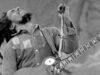 One love: al cinema il biopic dedicato a Bob Marley one-love-il-biopic-su-bob-marley