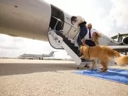 La prima compagnia aerea per i cani: anche i nostri amici possono volare comodi la-prima-compagnia-aerea-per-i-cani