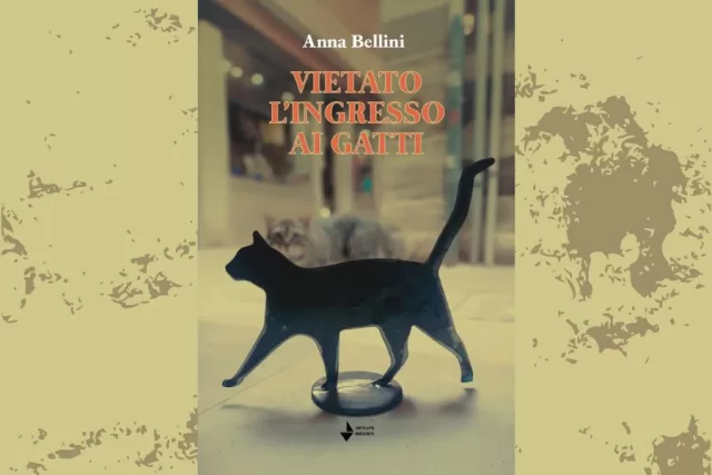 anna-bellini-vietato-l'ingresso-ai-gatti