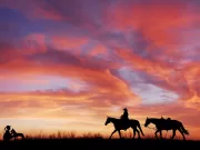 Yee-haw! Come è nato l’urlo più famoso del Far West? yee-haw-cowboy-come-nasce-questa-espressione