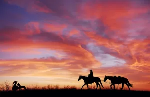 Yee-haw! Come è nato l’urlo più famoso del Far West? yee-haw-cowboy-come-nasce-questa-espressione