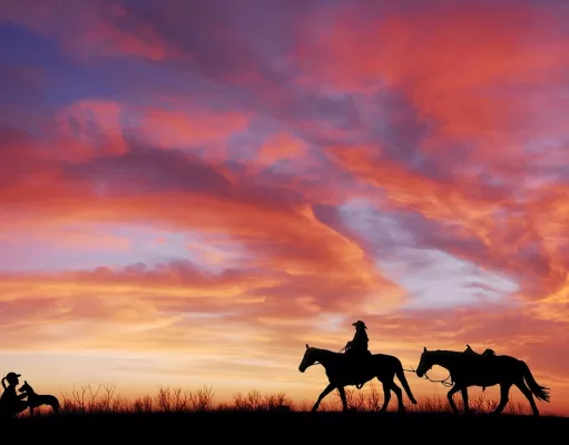 Yee-haw! Come è nato l’urlo più famoso del Far West? yee-haw-cowboy-come-nasce-questa-espressione