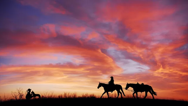 cow-boy-5289122_1280 yee-haw-cowboy-come-nasce-questa-espressione