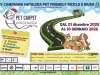 Pet Carpet: un riciclo da Oscar per i nostri amici a 4 zampe pet-carpet-roma