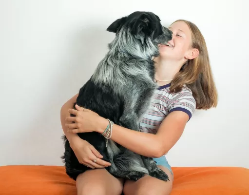 Gelato per cani: ad Alassio il cono al brodo di carne gelato-per-cani-alassio