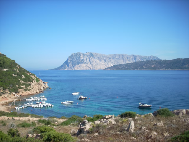 tavolara-bay-cosa-sta-succendendo